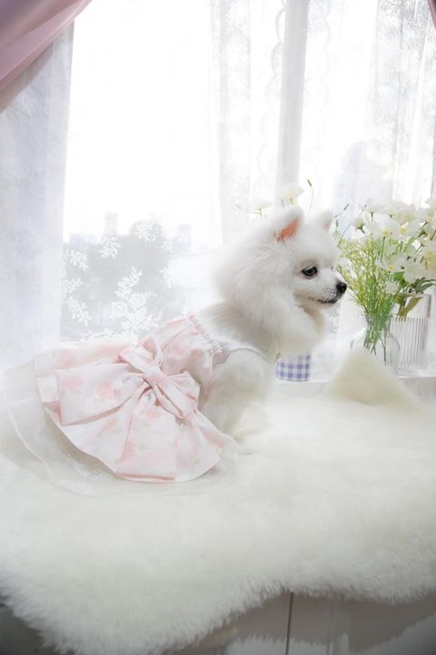 FB_IMG_1737346129367