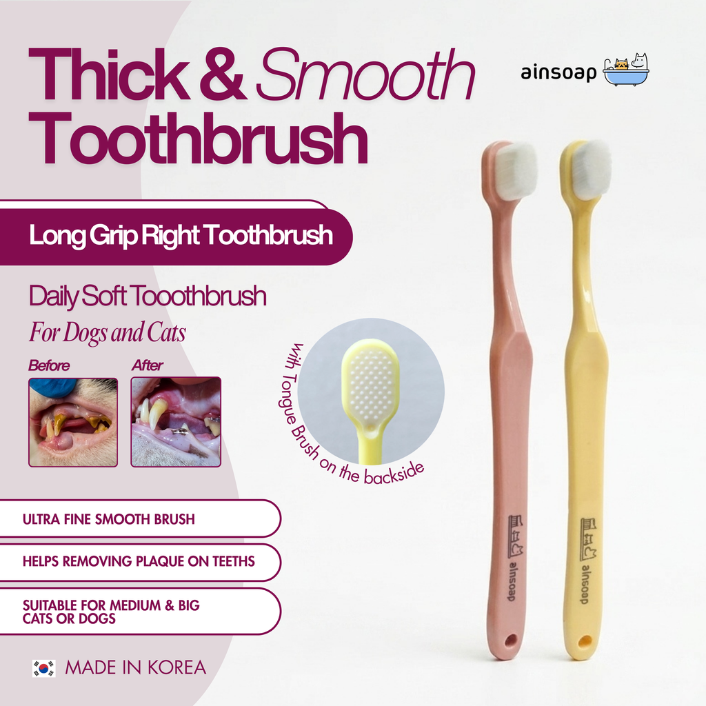 Ainsoap Long Grip Right Toothbrush2
