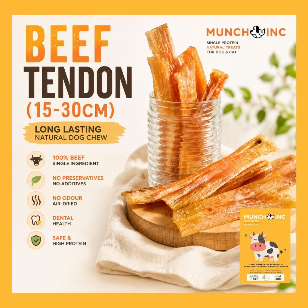 Beef Tendon