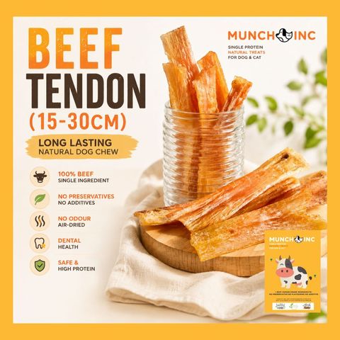 Beef Tendon