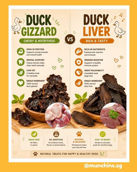 Duck gizzard vs Duck Liver