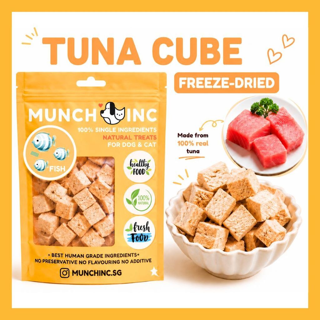 Tuna Cube