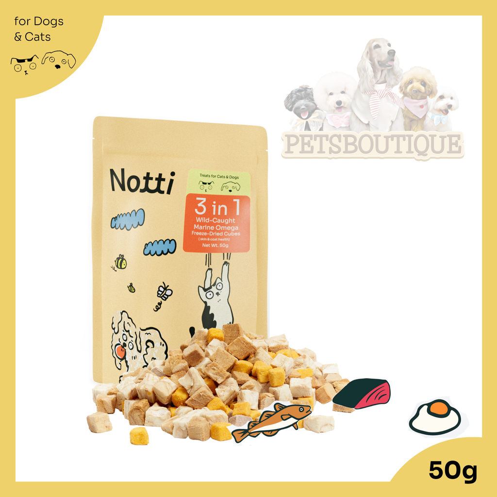 Copy of Notti Product images (2)