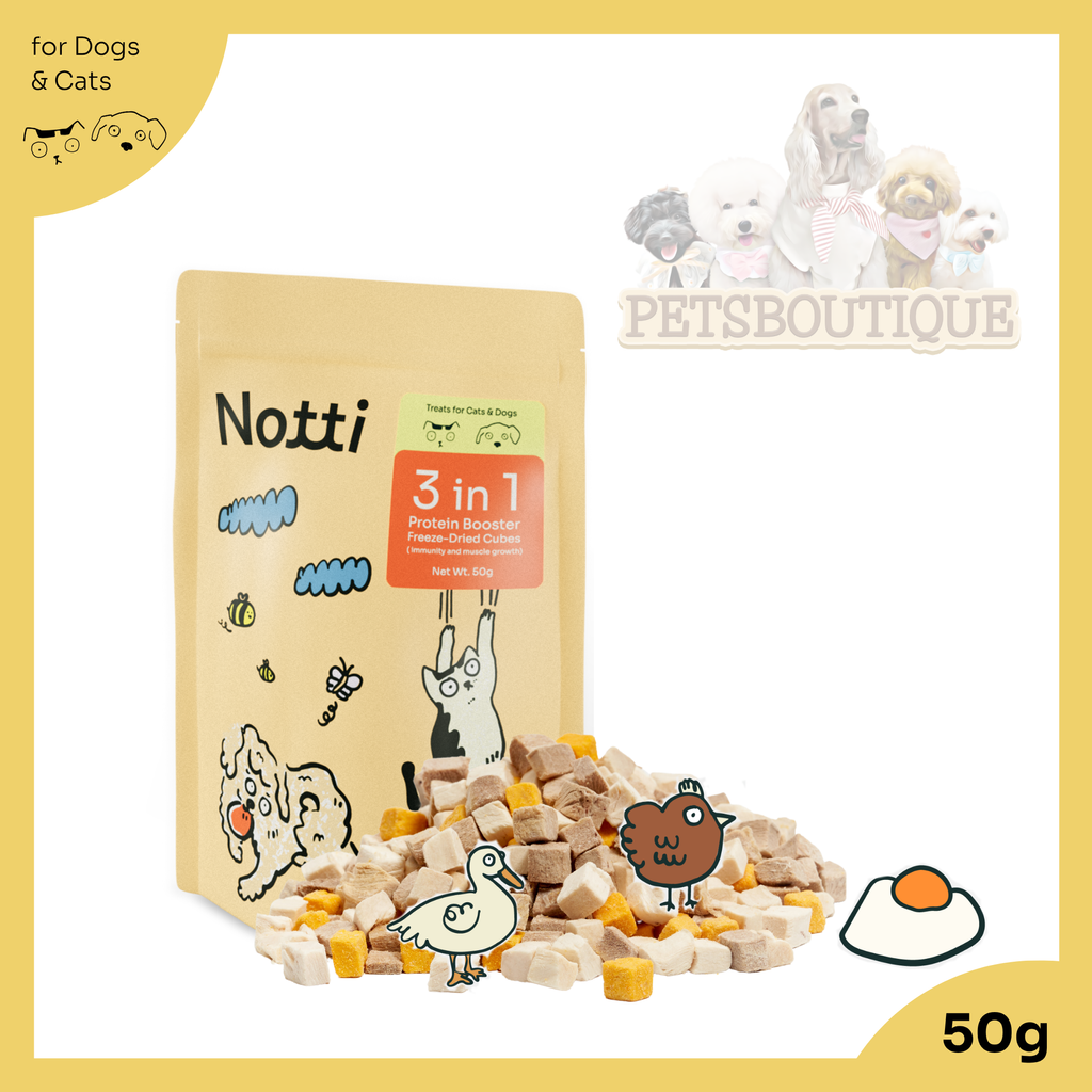 Copy of Notti Product images (4)