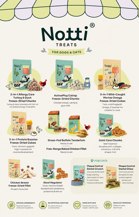 Treat Main image