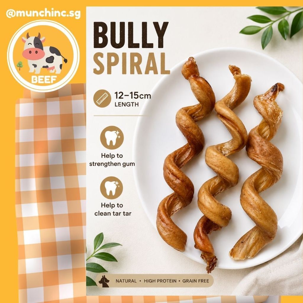 Bully Spiral