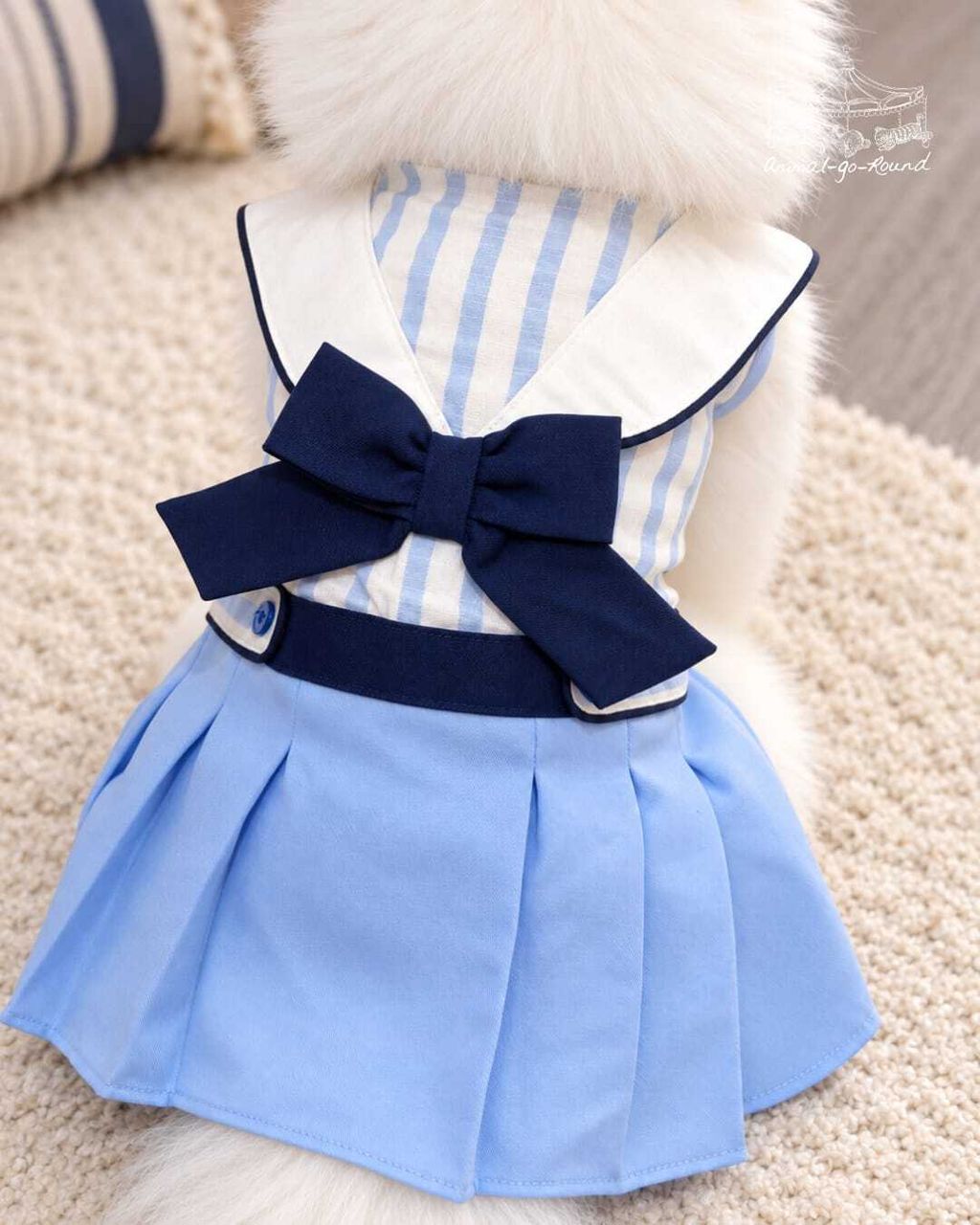 Little Captain 6