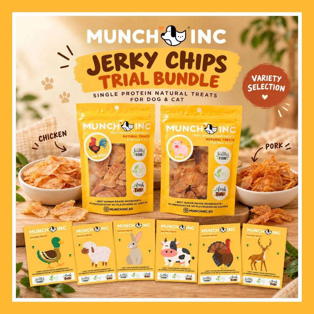 Mix Chips