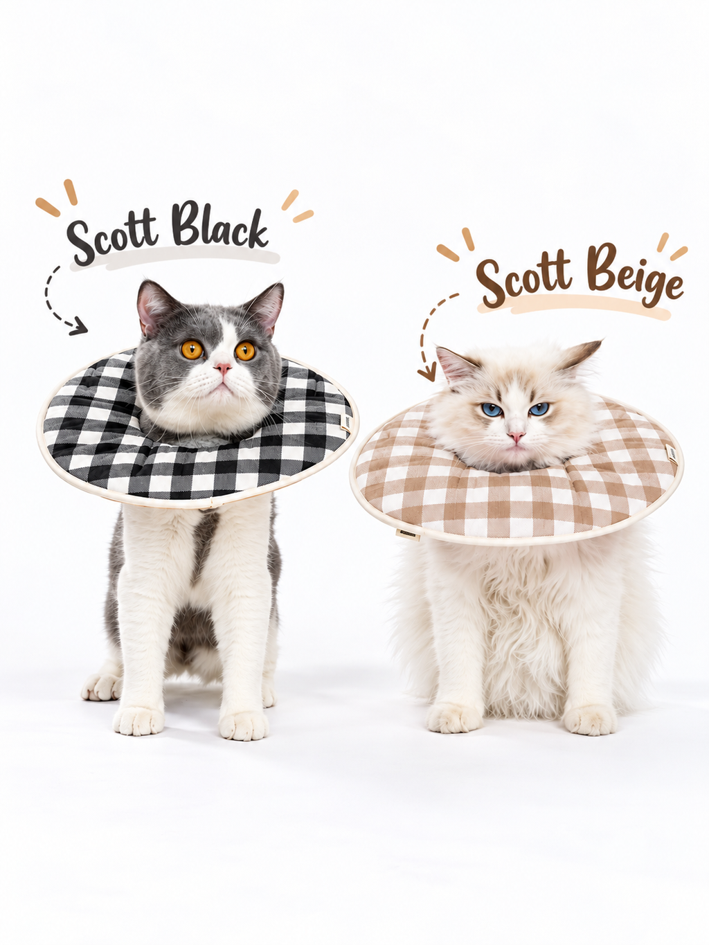 Scott Black and Beige Cat Collars
