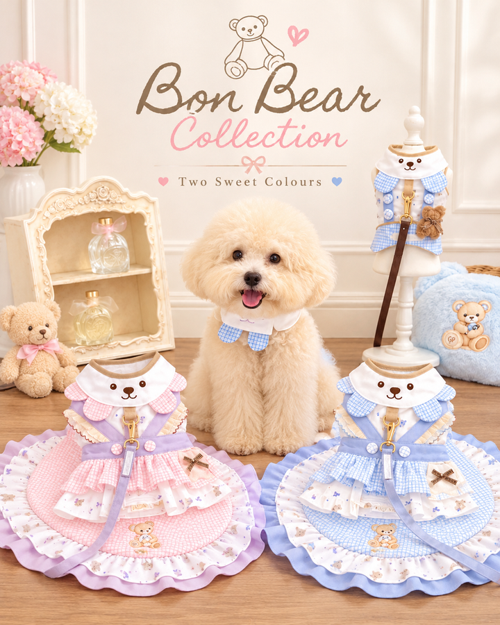 Bon Bear Collection