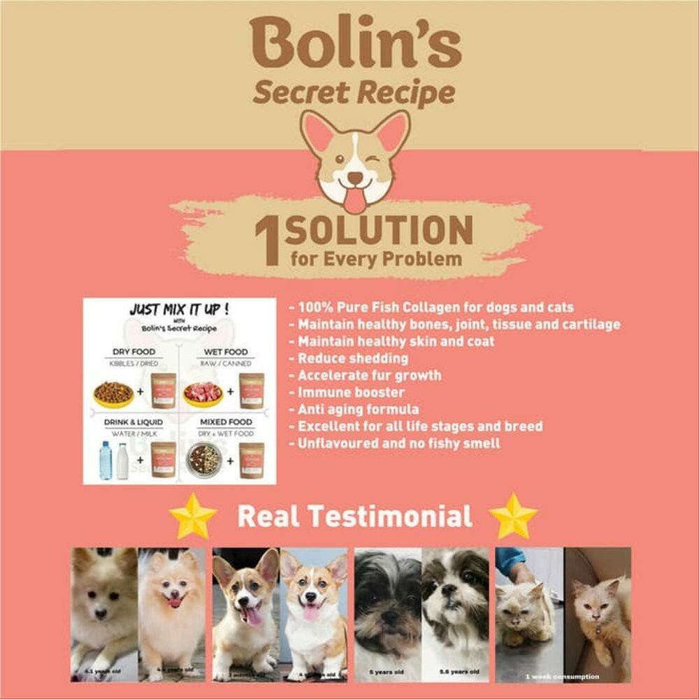 Bolin s Secret Recipe Fish Collagen for Dog Cat Small Animal and Furgenic Fish Oil Powder Uri Combat Gyu Gains PETSBOUTIQUE