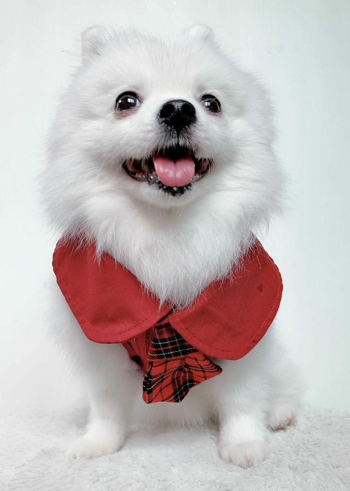 IMG-20221102-WA0029