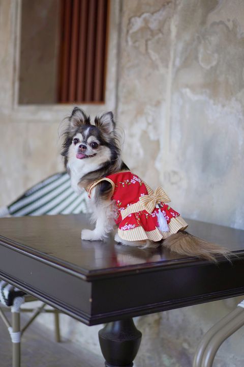 2022-12-30-11-33-09-534