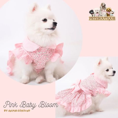 BabyBloomPink