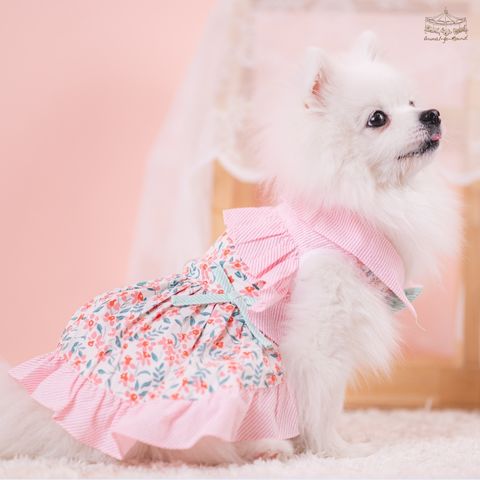 sunday moring girl _1