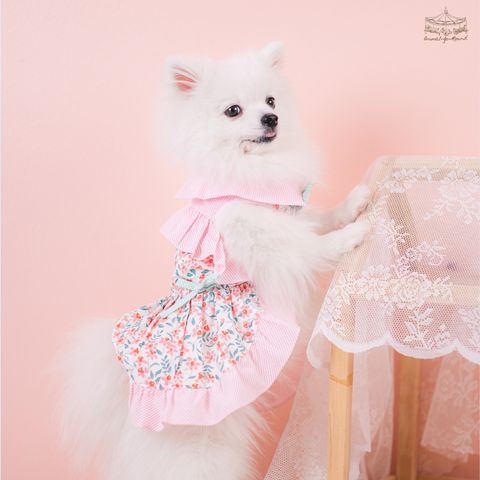 sunday moring girl _3