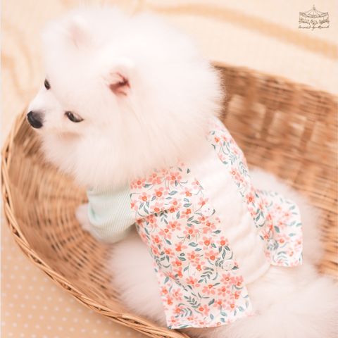 sunday moring girl _3