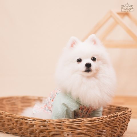 sunday moring girl _2