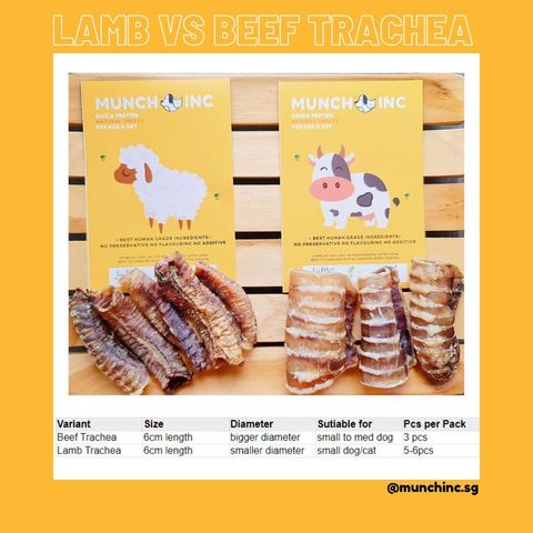 Beef vs Lamb Trachea