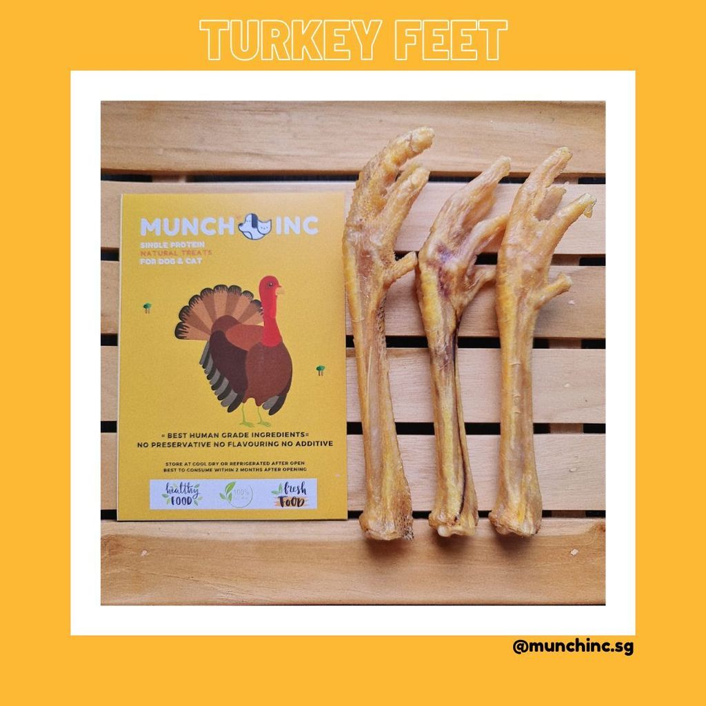 TurkeyFeet 3