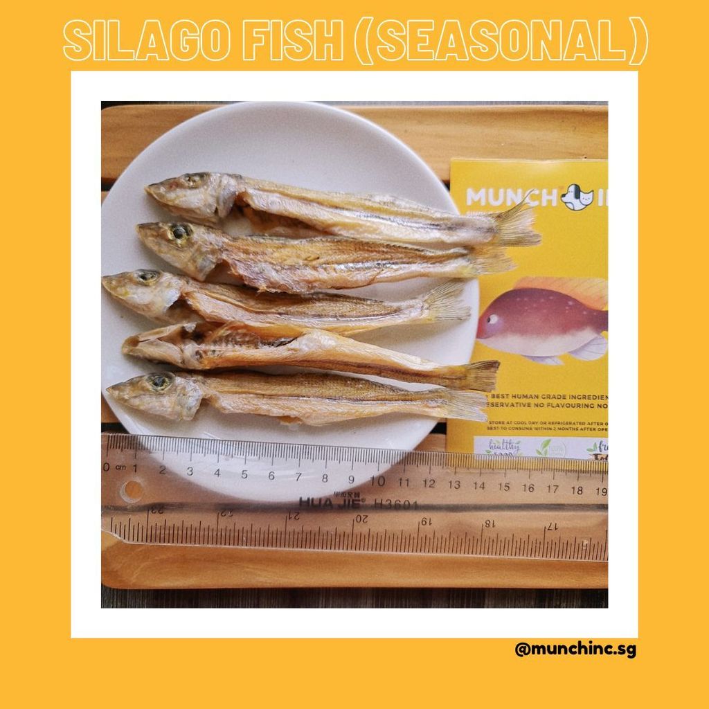 SilagoFish