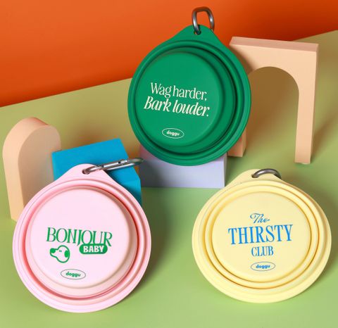 52655499359_f53c5d038c_o