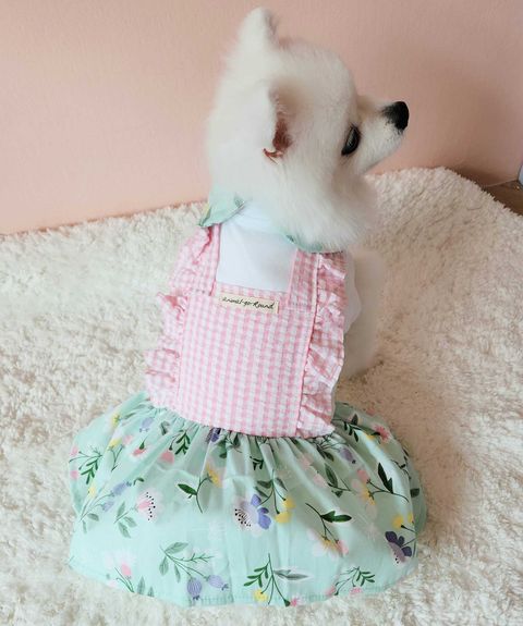 WhatsApp Image 2023-10-13 at 21.29.48 (1)