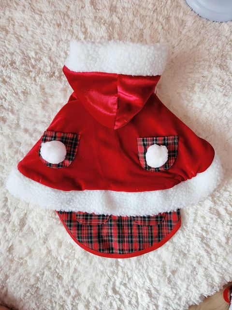 WhatsApp Image 2023-10-13 at 21.30.15