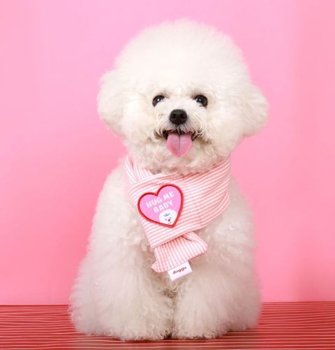 Doggu Scarf Hug Me Baby