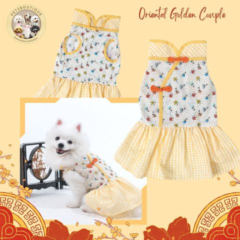 22_20231209_115011_0011