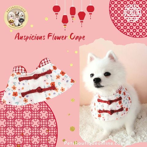 11_20231209_115011_0001