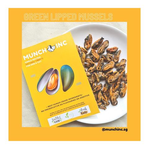 Green Lipped Mussels