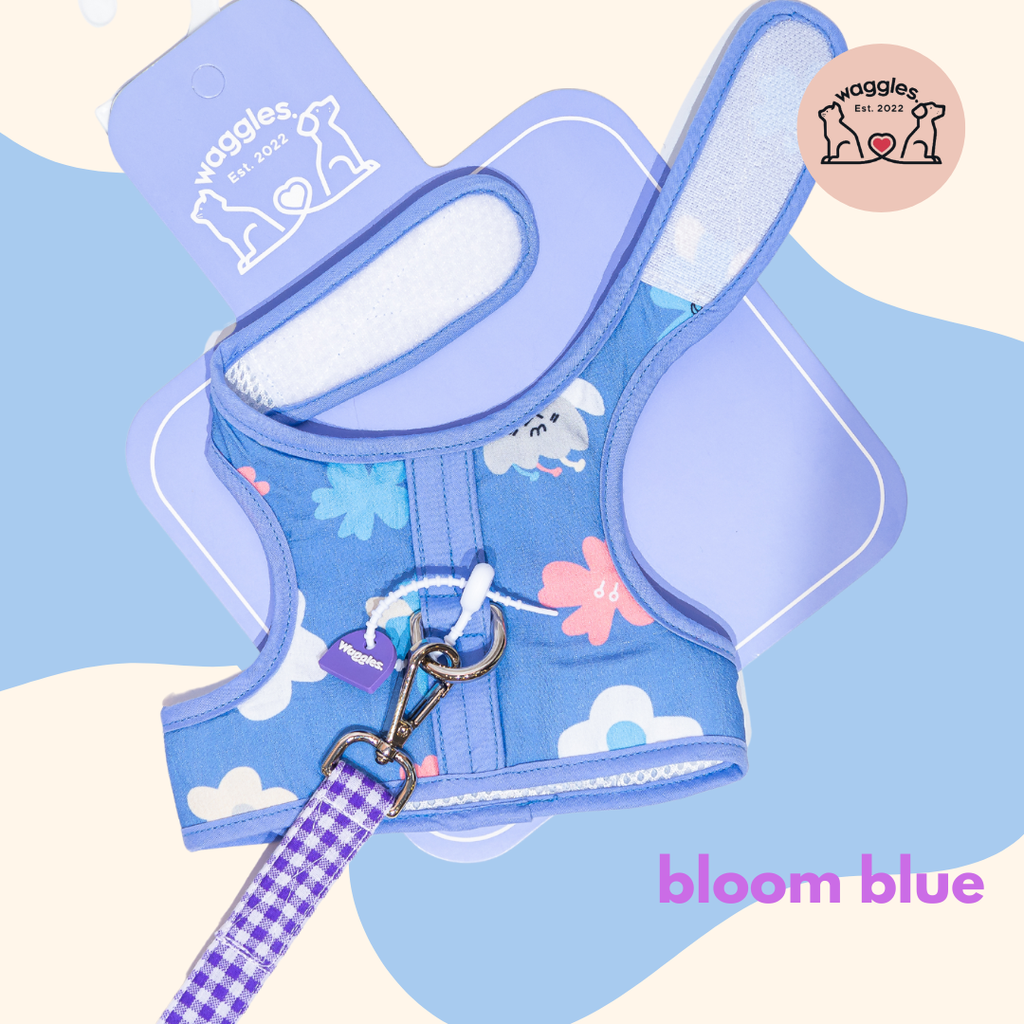 Bloom Blue