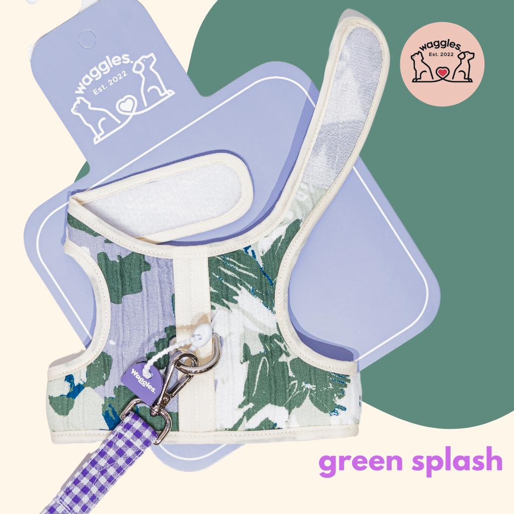 Green Splash