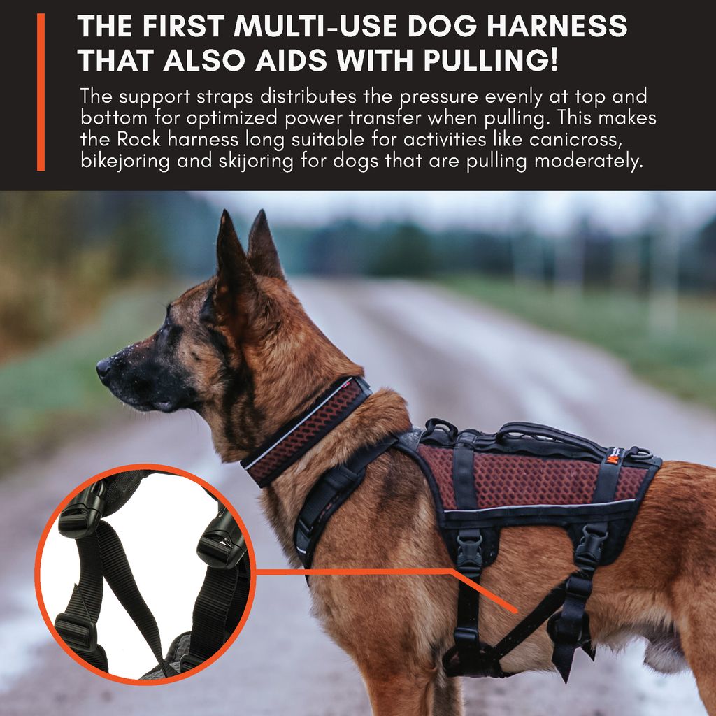 the-first-multi-use-dog-harness-that-also-aids-with-pulling