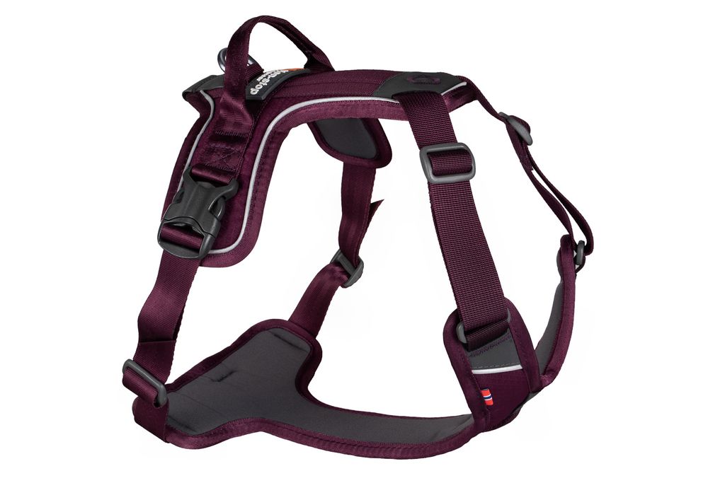 ramble_harness_2