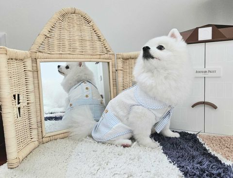 WhatsApp Image 2024-09-27 at 16.02.51