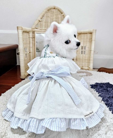 WhatsApp Image 2024-09-27 at 16.02.32