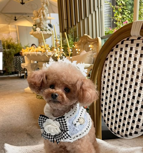 Screenshot 2024-10-30 132002