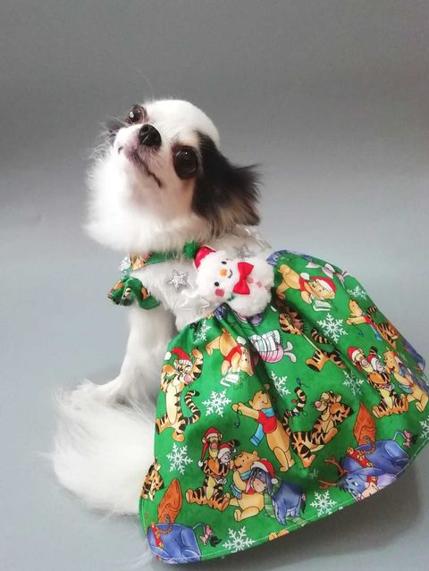 WhatsApp Image 2024-11-08 at 11.34.31