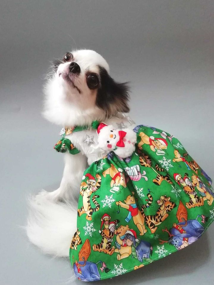 WhatsApp Image 2024-11-08 at 11.34.31