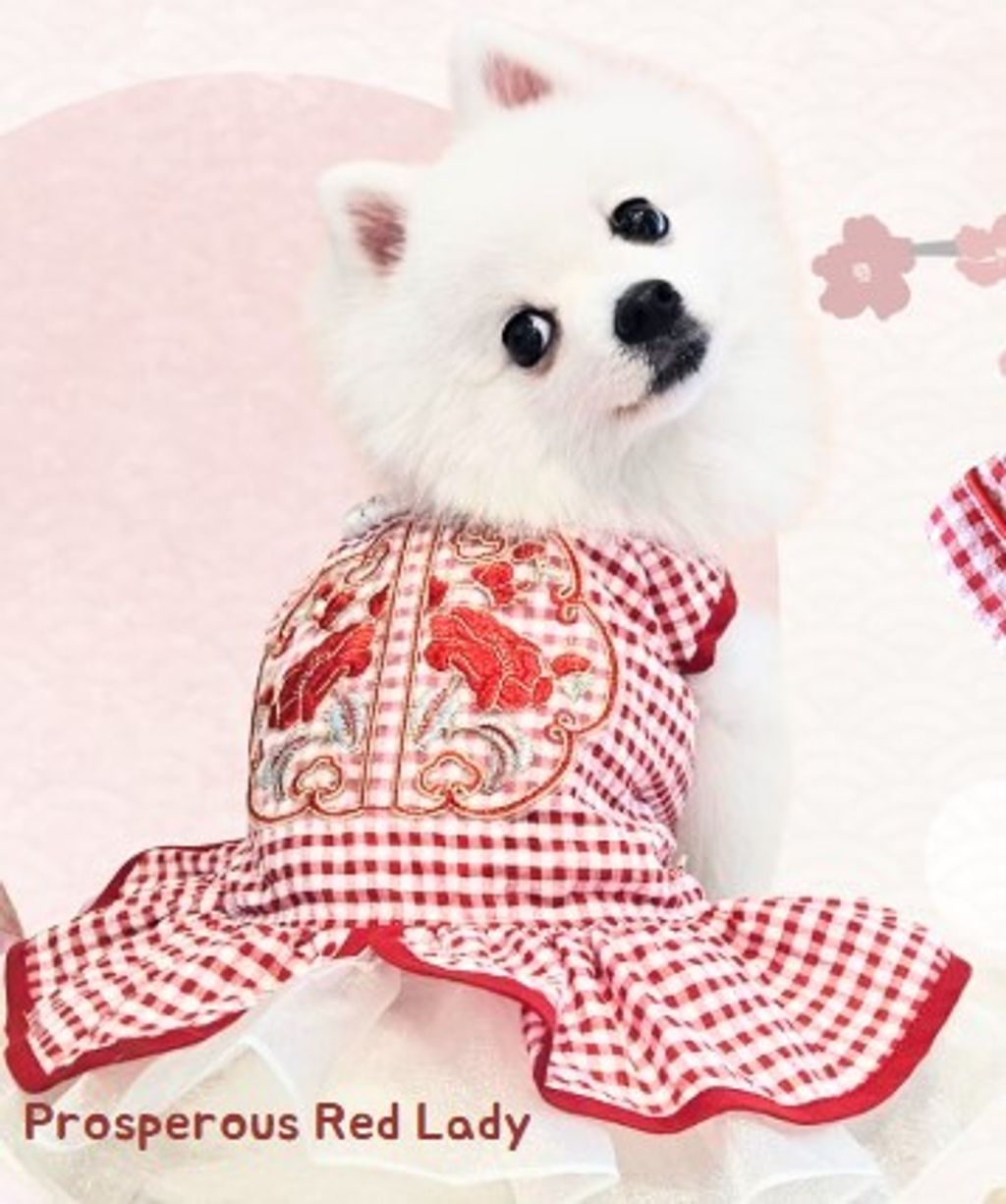 CNY2025RED