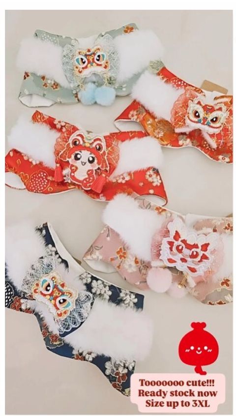 CNY2025