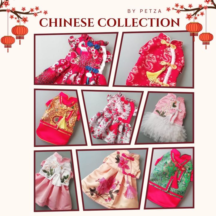 CNY2025