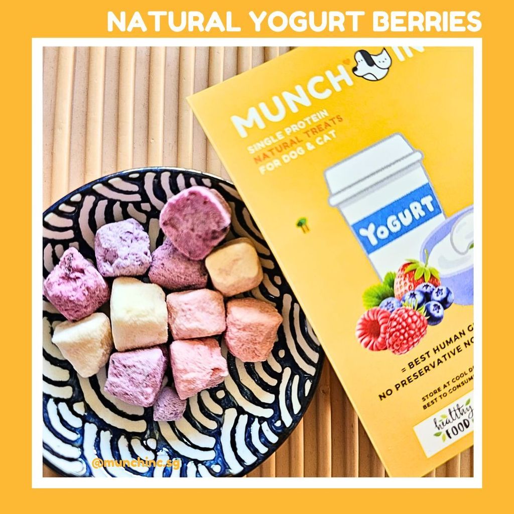 Yogurt FD