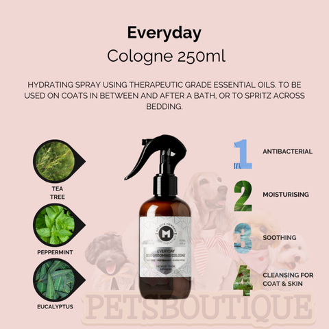 EV Cologne
