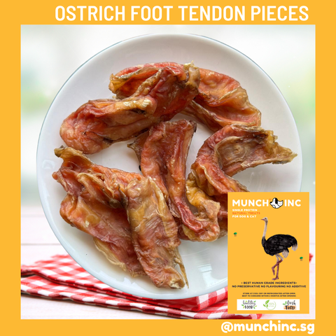 Ostrich Foot Tendon