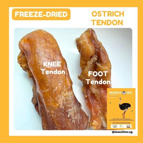 Ostrich Tendon
