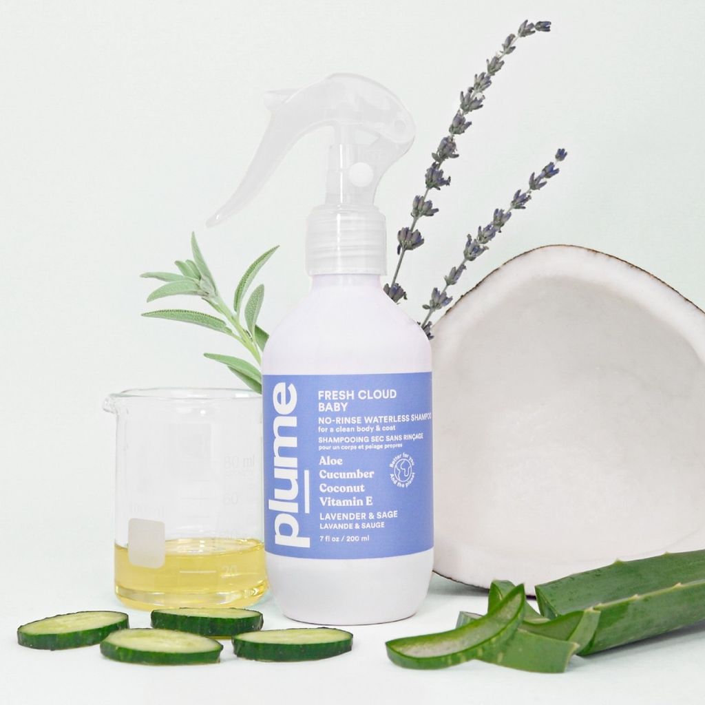 Waterless Shampoo
