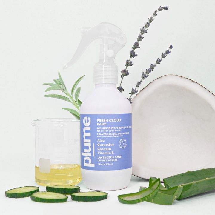 Waterless Shampoo